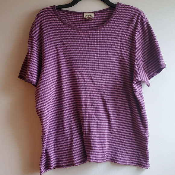 L.L. Bean Women's Purple Striped Short Sleeve Shirt - Picture 1 of 6